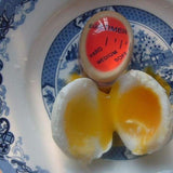 Egg Timer Kitchen Helper