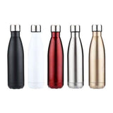 Stainless Steel Insulated Sports Bottle